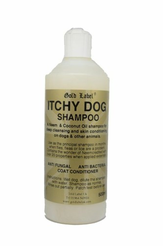 Gold label canine itchy - itchy, dog