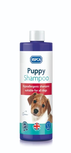 Rspca hypoallergenic puppy - hypoallergenic,