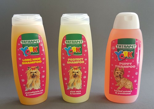 Dog shampoo york puppy - dog, terrier