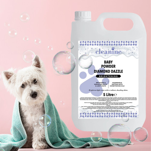Professional brightening dog - brightening,