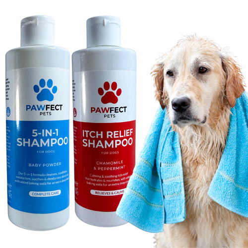 Pawfect pets dog shampoo - dog,