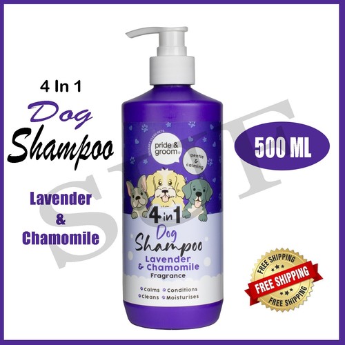 Pride groom in 1 - pride, 4