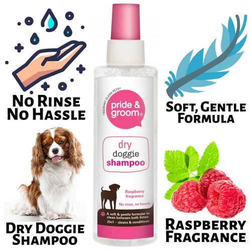 Dry dog shampoo 200ml - dry, pride