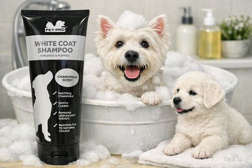 Pet pro white - coat, dog